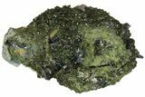 Lustrous, Epidote Crystals on Actinolite - Pakistan #164853-2